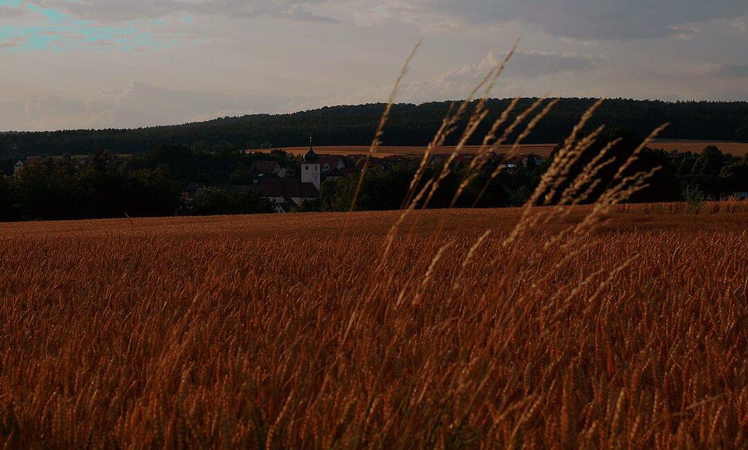 Kirche von Schönbrunn im Steigerwald. Foto: ollyhoppe