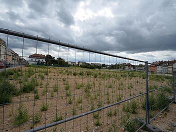 4,9 Hektar Sandfläche mitten im Stadtteil Wunderburg - hier soll der "Ulanenpark" entstehen. Foto: Ronald Rinklef