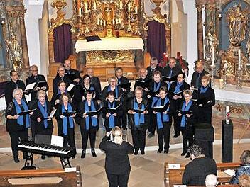 Der Chor "TonArten Herrnsdorf/Sambach" setzt sich aus Sängern aus Sambach und Herrnsdorf und aus verschiedenen Nachbarortschaften zusammen. Dirigentin ist Peggy Stolpe-Engels aus Adelsdorf. Foto: Seeger
