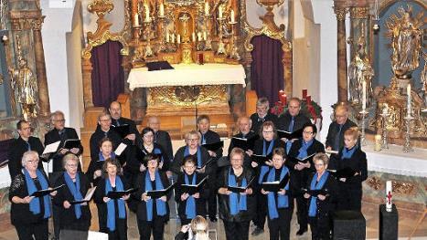 Der Chor "TonArten Herrnsdorf/Sambach" setzt sich aus Sängern aus Sambach und Herrnsdorf und aus verschiedenen Nachbarortschaften zusammen. Dirigentin ist Peggy Stolpe-Engels aus Adelsdorf. Foto: Seeger