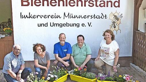 Der Imkerverein M&uuml;nnerstadt beteiligt sich an der Beedabei-Sternstunde und schafft so Futterstellen f&uuml;r Bienen.