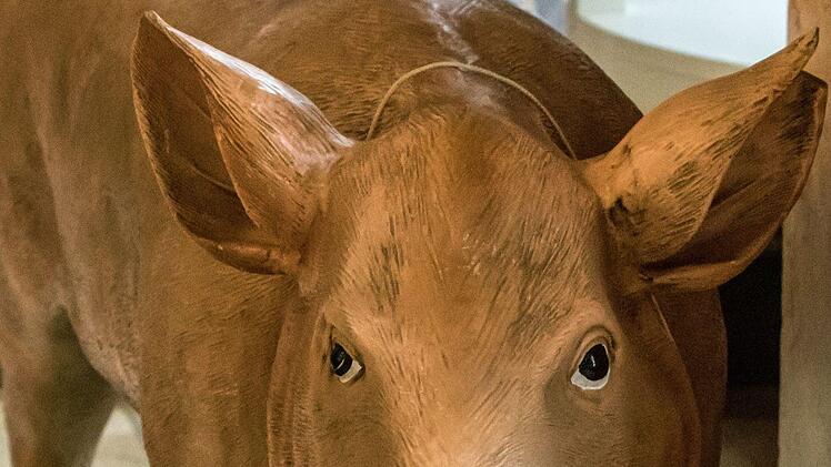 "Schwein gehabt!": Impressionen vom Kinderkonzert im Spiegelsaal des Landestheaters CoburgFoto: Jochen Berger