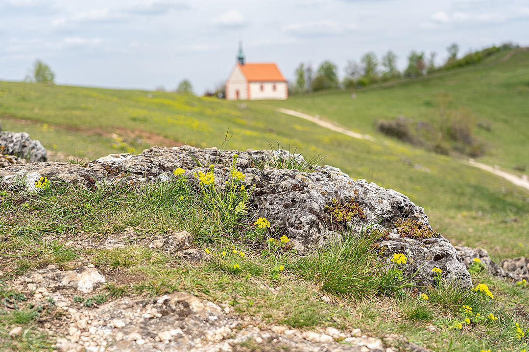 Der Berg der Franken