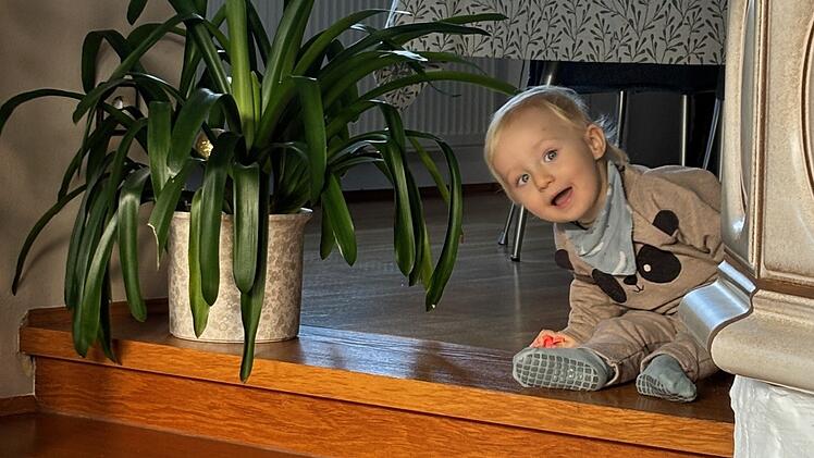 SplitImage 1769610960