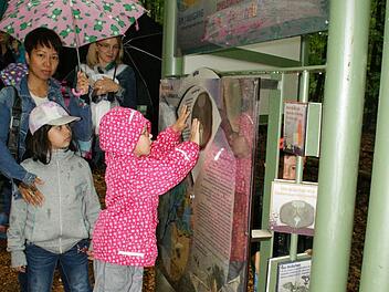 Die Burgwindheimer Kindergartenkinder probierten die interaktiven Elemente des Fledermauspfades gleich mal aus. Foto: Sabine Weinbeer