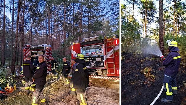 Erlangen: Waldbrand im Tennenloher Forst h&auml;lt Feuerwehr bis nachts in Atem - Explosionsgefahr