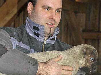 Roman Schineller mit einem der acht Lämmer, weiterer Nachwuchs wird in diesen Tagen erwartet. Foto: R. Kestel