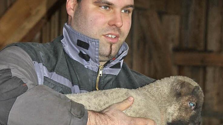 Roman Schineller mit einem der acht Lämmer, weiterer Nachwuchs wird in diesen Tagen erwartet. Foto: R. Kestel