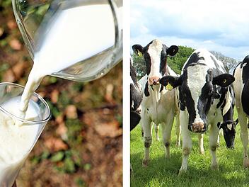 Reichenschwand: Preise für Milch drastisch teurer geworden - Milchpreis "steigt unaufhörlich"