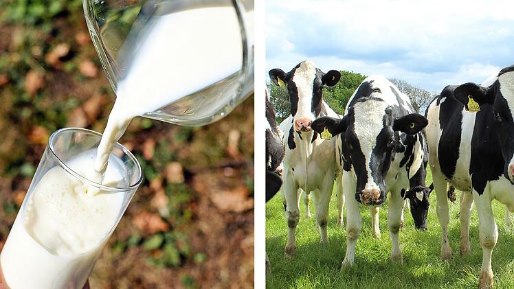 Reichenschwand: Preise für Milch drastisch teurer geworden - Milchpreis "steigt unaufhörlich"