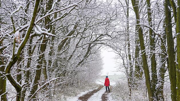 Wintereinbruch in Franken: Wetter-Experte sagt Schnee am Wochenende voraus