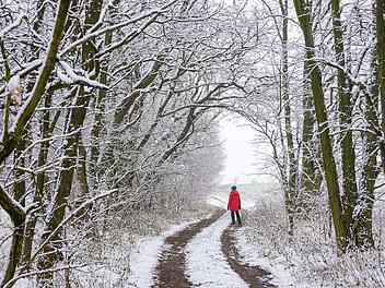 Wintereinbruch in Franken: Wetter-Experte sagt Schnee am Wochenende voraus