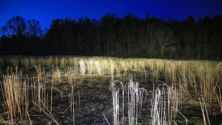 Foto: News5/Merzbach