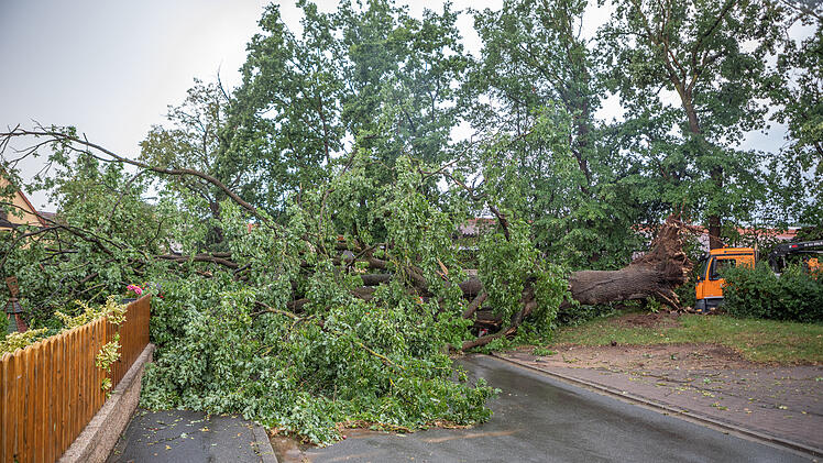 Kuh droht auf Weide zu ertrinken: Heftige Unwetter im Landkreis Fürth