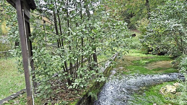 Am Sammelbecken der Quellen zerst&ouml;rt der Bewuchs die Mauern. Die St&uuml;tzmauer droht einzust&uuml;rzen.