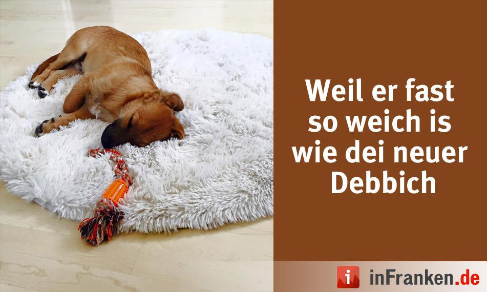 Foto: Julia Esslinger