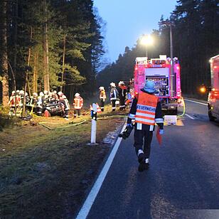 Auto kracht gegen einen Baum - Fahrer schwer verletzt
