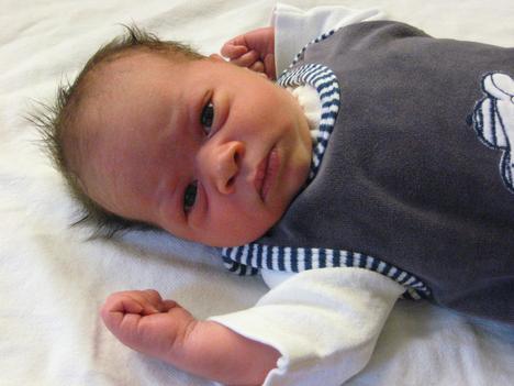Babygalerie 96