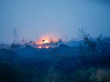 Waldbrand in Belgien