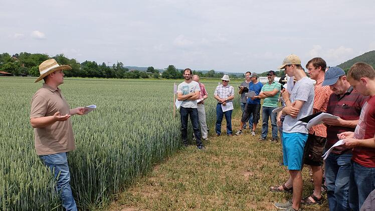 Im Wiesengrund in Burglauer konnten die Landwirte und Besucher die Besichtigungsfl&auml;chen in Augenschein nehmen. Dabei wurde fachkundig auf die Vor- und Nachteile der einzelnen Sorten eingegangen. Foto: Bj&ouml;rn Hein