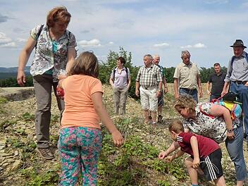 Die wilden Erdbeeren schmecken schon. Bei der Exkursion mit Herbert Halbig gab es nicht nur einiges zu entdecken, die Teilnehmer durften auch naschen. Foto: Günther Straub