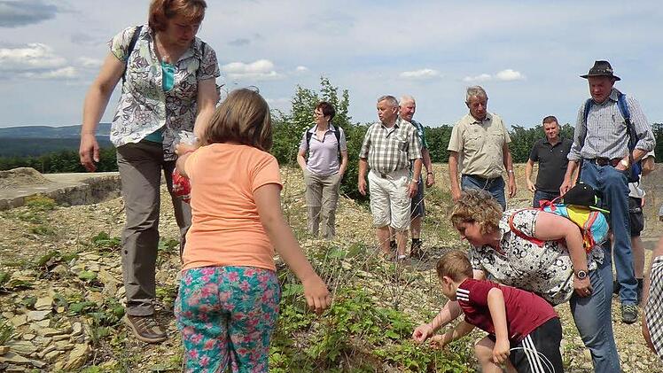 Die wilden Erdbeeren schmecken schon. Bei der Exkursion mit Herbert Halbig gab es nicht nur einiges zu entdecken, die Teilnehmer durften auch naschen. Foto: Günther Straub