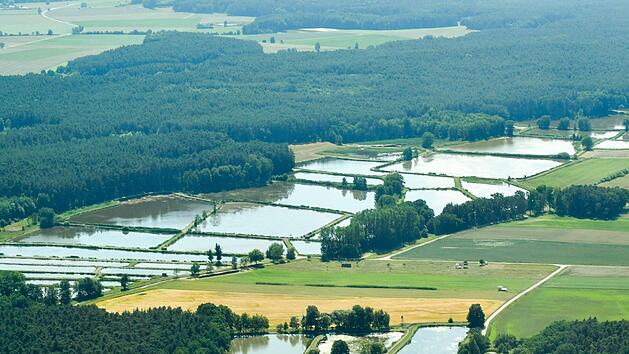 Der Aischgrund von oben l&auml;sst die Konflikte an den Weihern zun&auml;chst nicht vermuten. Ronald Rinklef