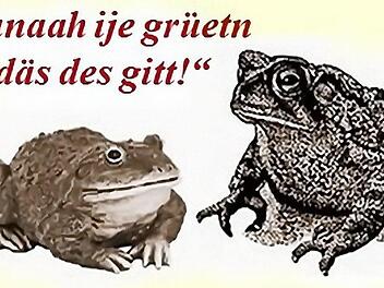 "Du Grüet" ist für einen Michelauer keine Beleidigung, der Begriff weist auf ein besonderes Zusammengehörigkeitsgefühl hin.  Foto: Klaus Gagel