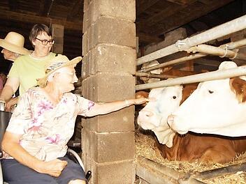 Neugierige Blicke von jeder Seite