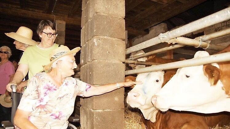 Neugierige Blicke von jeder Seite