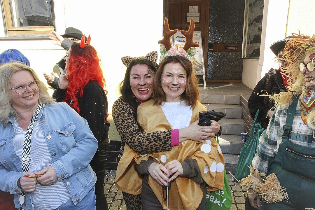 Fasching 2025 in Stadtsteinach!