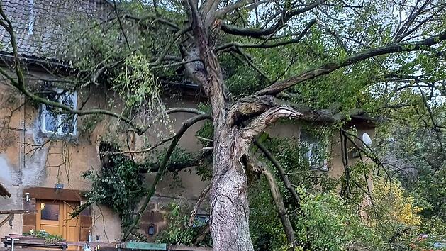 Burgkunstadt: Baum kracht auf Haus von Seniorin - Sturm hält Einsatzkräfte auf Trab