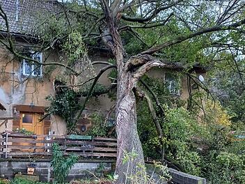 Burgkunstadt: Baum kracht auf Haus von Seniorin - Sturm h&auml;lt Einsatzkr&auml;fte auf Trab
