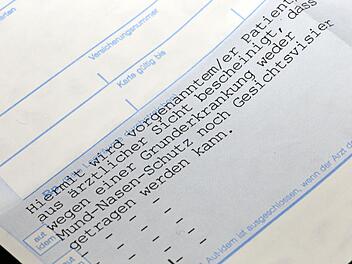 4800 Euro Strafe und die Verfahrenskosten muss ein Verkäufer bezahlen, weil er mehrfach ein falsches Gesundheitszeugnis benutzt hat. Er behauptet vor Gericht, er hielte es für echt. Und das für Frau und Kind?