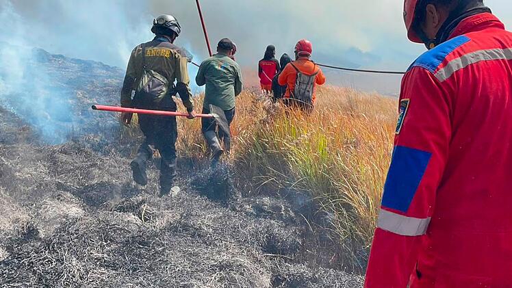 Waldbr&auml;nde in Indonesien