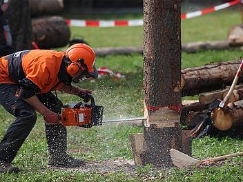 Weniger Holz wurde im Fuchsstädter Gemeindewald geschlagen. Unser Bild entstand beim Wald- und Holztag in Oberthulba. Foto: Gerd Schaar/Archivr