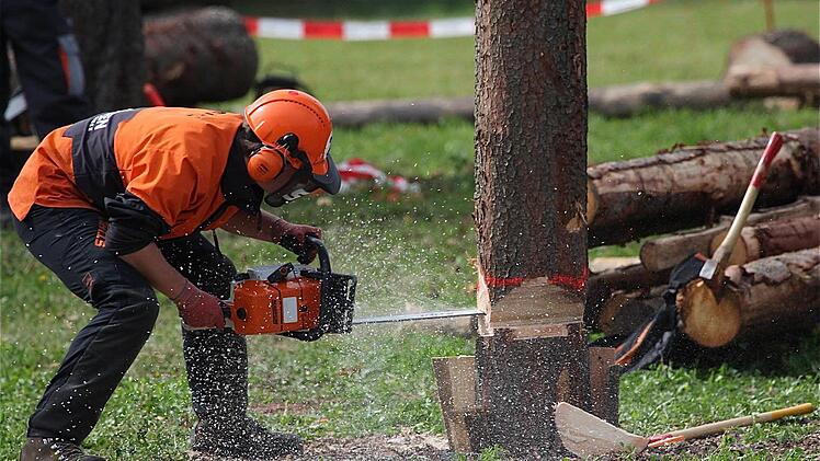 Weniger Holz wurde im Fuchsstädter Gemeindewald geschlagen. Unser Bild entstand beim Wald- und Holztag in Oberthulba. Foto: Gerd Schaar/Archivr