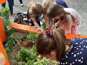 Begeistert packten alle bei den Arbeiten am Kräuterbrunnen in der Einhard-Grundschule mit an.  Foto: Doris Bauer