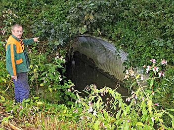 Bernhard Reuter aus Neuses, ein direkt von Hochwassergefahr Betroffener, zeigt auf den zwei Meter großen Durchlass (hier an der nordöstlichen Seite), der unter der Kreisstraße HAS 50 hindurchführt und bei einer entsprechenden Hochwasserlage die Wassermengen nicht aufnehmen kann, weshalb es zum Rückstau kommt. Reuter: "Wir leben an einer Badewanne."  Archivfoto: Helmut Will
