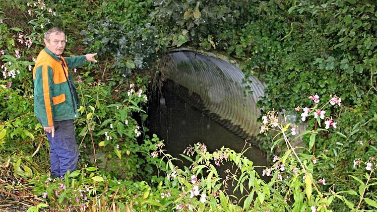 Bernhard Reuter aus Neuses, ein direkt von Hochwassergefahr Betroffener, zeigt auf den zwei Meter großen Durchlass (hier an der nordöstlichen Seite), der unter der Kreisstraße HAS 50 hindurchführt und bei einer entsprechenden Hochwasserlage die Wassermengen nicht aufnehmen kann, weshalb es zum Rückstau kommt. Reuter: "Wir leben an einer Badewanne."  Archivfoto: Helmut Will