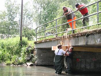 Juni 2011: Mitarbeiter des Untersteinacher Bauhofs sichern die Steinachbrücke bei Hummendorf.  Foto: Archiv/Matthias Beetz