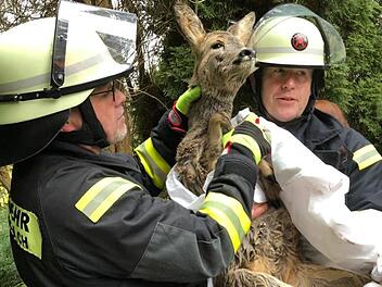 Die Feuerwehr Kronach rettete zwei Rehe. Foto: Stefan Wicklein
