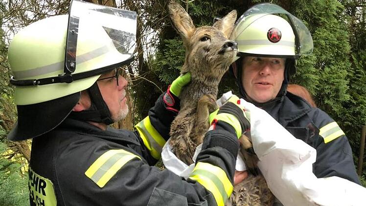 Die Feuerwehr Kronach rettete zwei Rehe. Foto: Stefan Wicklein