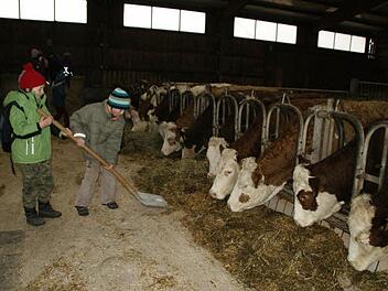 Kinder der Volksschule Rauhenebrach besuchten einen Bauernhof in Untersteinbach - und durften beim Ausmisten mit anpacken. Fotos: sw
