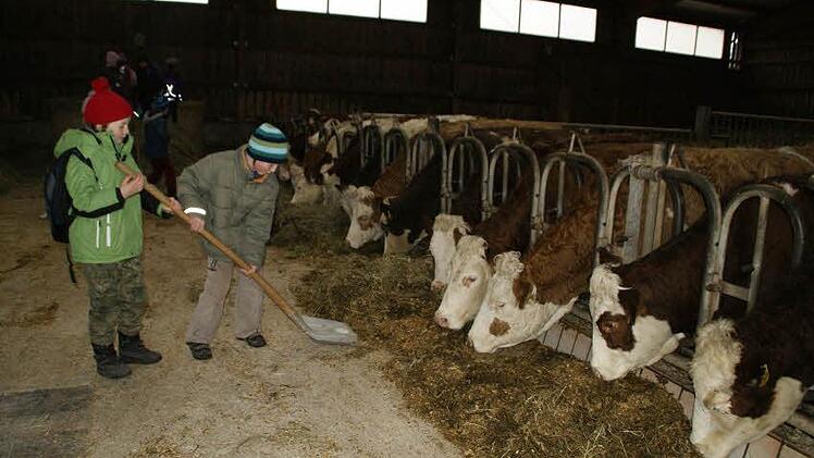 Kinder der Volksschule Rauhenebrach besuchten einen Bauernhof in Untersteinbach - und durften beim Ausmisten mit anpacken. Fotos: sw