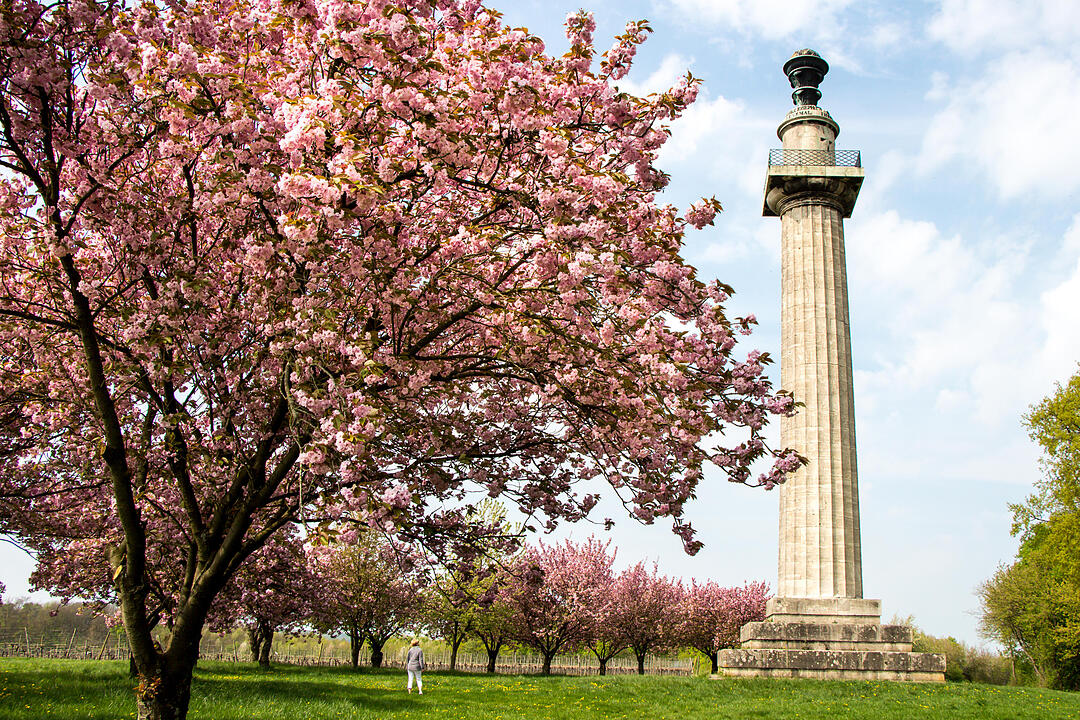 Fotos Konrad Thomann