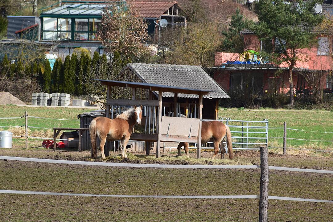 Ailsbach (5)