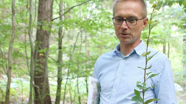 Andreas Büchner zeigt einjährige Jungpflanzen.Foto: Katrin Geyer