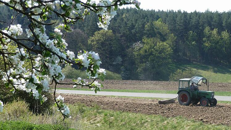 Auf und zwischen Bayerns Äckern soll es nach dem Volksbegehren mehr blühen - zum Wohle der bedrohten Arten. Der Bauernverband sieht das skeptisch und will lieber weiter  auf Freiwilligkeit setzen. Günther Geiling/Archiv