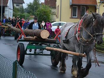 Die Burschen des Ortes holten den Plobaum aus dem Wald. Mit einem Zug durchs ganze Dorf wurde er zur Kirche gebracht. Fotos: Reinhold Nickolai